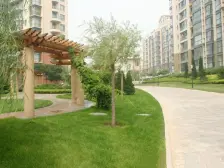 百合园 高楼层 东打头 可看海 楼间距大采光好