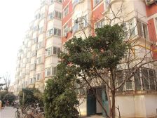 此房满五唯一,无抵押可贷款,业主诚心出售。