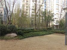 精装一室拎包入住双气入户看房提前联系