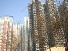 南苑两室朝东本五唯一装修不错自住标准