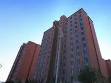 谷歌里 1室1厅 南 东