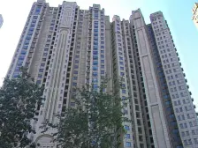 自由向 3室1厅 南 北