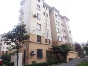 呼和小区 3室1厅 南 北