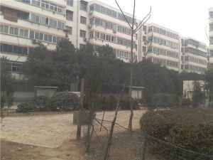 中弘三期旁中间楼层双气入户