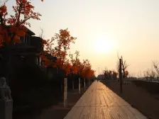 万科青年特区 2室1厅 南