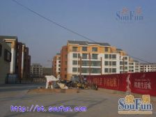 欧鹿生活城 3室2厅 南 北