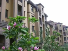 欧洲小镇 南北通厅采光好欧式风格 小区环境好