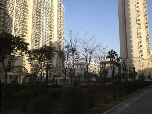 整租·红太阳花园 1室1厅 东南