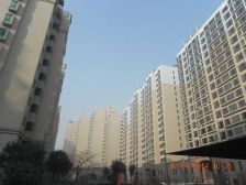 huang金国际中区电梯8楼有车位储出门其中莲池