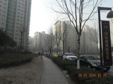 黄jin金国际,一室小住宅,住宅有的他都有
