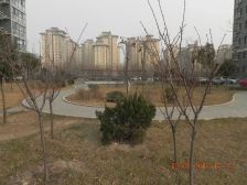 阳光花园3室2厅南北