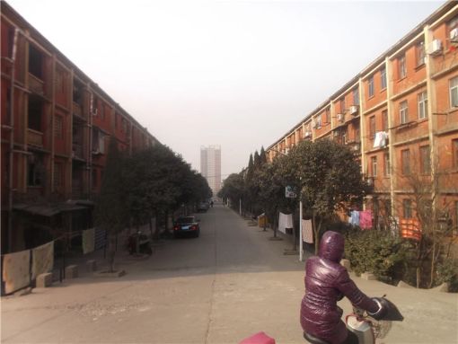 中建二局家属院2室1厅1卫南朝向500.00元/月出租