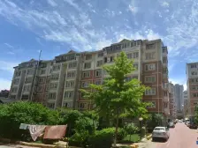 芙蓉花园(金州) 1室1厅 北