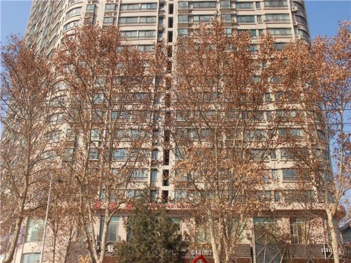 金源国际1室1厅1卫东朝向1300.00元/月出租