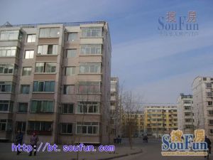 汇金小区 步梯3楼 采光好 南北通透