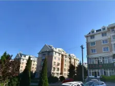 芙蓉花园电梯房,小区物业好,在家能看海,拎包入住。