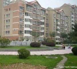 阿尔泰商圈,配套成熟,交通便利,诚心出售 。