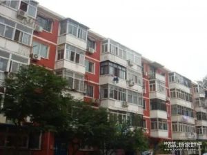 公主府北垣分学包,低楼层,蒙专的家属楼,八一市场