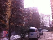 图书馆街安居小区1室1厅南