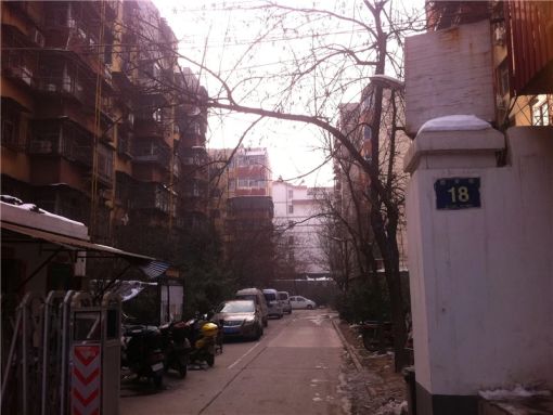 图书馆街小区3室2厅1卫南朝向500.00元/月出租