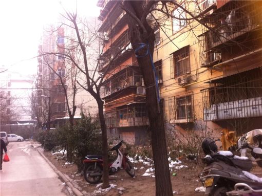 图书馆街小区2室1厅1卫南朝向1000.00元/月出租