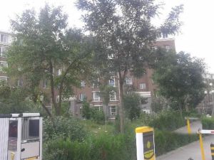 回民区西龙王庙地铁口近附院 呼钢东区 房本满二可贷款