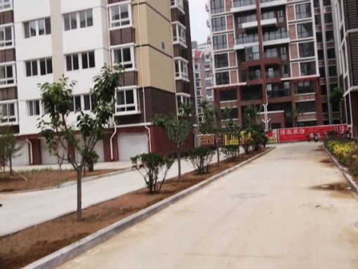福利莱仁和春天1室1厅1卫南朝向1050.00元/月出租