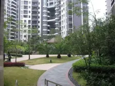 星河传说聚星岛C区 6室2厅 南