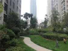 建业壹号城邦1室0厅北