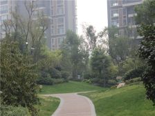 建业壹号城邦1室1厅南北