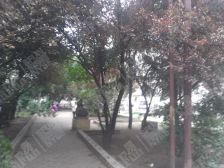 樱花园小区50平,采光充足,交通便利