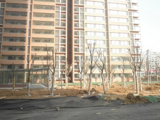 高速花园4室2厅2卫南北朝向4800.00元/月出租