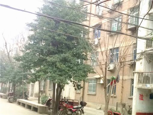 铁路信息工程学校家属院1室1厅1卫南朝向700.00元/月出