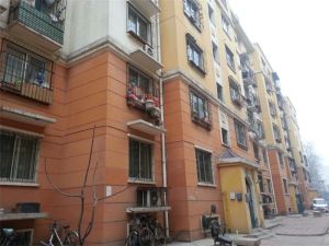 上海市场拖厂5号门口就是大张
