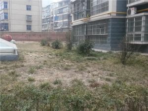 地理位置好交通方便户型方正生活配套设施比较完善