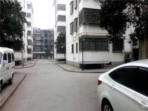 公交公司家属院1室1厅1卫南朝向900.00元/月出租