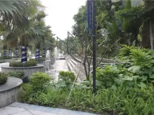 东骏朗晴居 2室1厅 西南