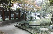 双楠回归线 2室1厅 东北