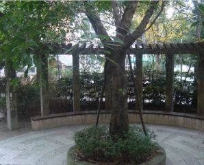 学府美地4室2厅东南