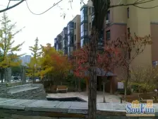 晶品缘林 4室2厅 南 北