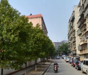 胜利小区1室1厅南