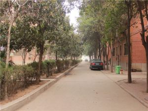 凯旋路市政府家属院业主实心采光比较好