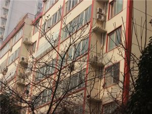 新都汇旁精装电梯大三室双气入户可按揭看房方便