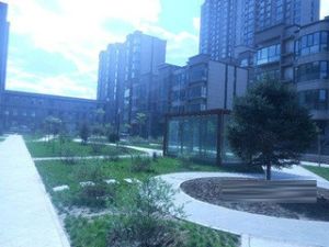 楼层好 采光好 出行方便 随时看房