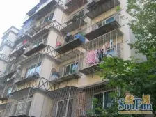 花园小区 3室2厅 南 北