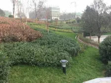 东城院子 4室2厅 西