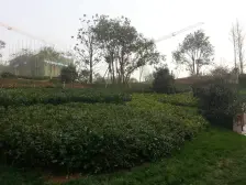 东城院子 4室2厅 东