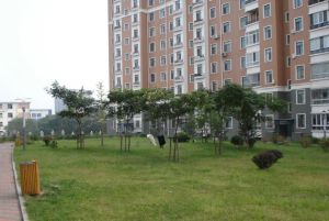南北通厅户型三室二卫封闭小区近地铁公交站