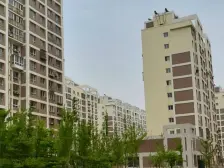 近九龙汇,出行方便,精装修,拎包入住,诚心出售