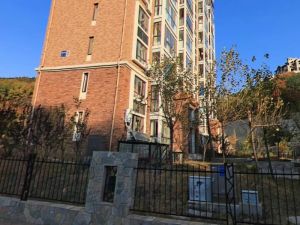 湖景前排品尚装修带地下车位